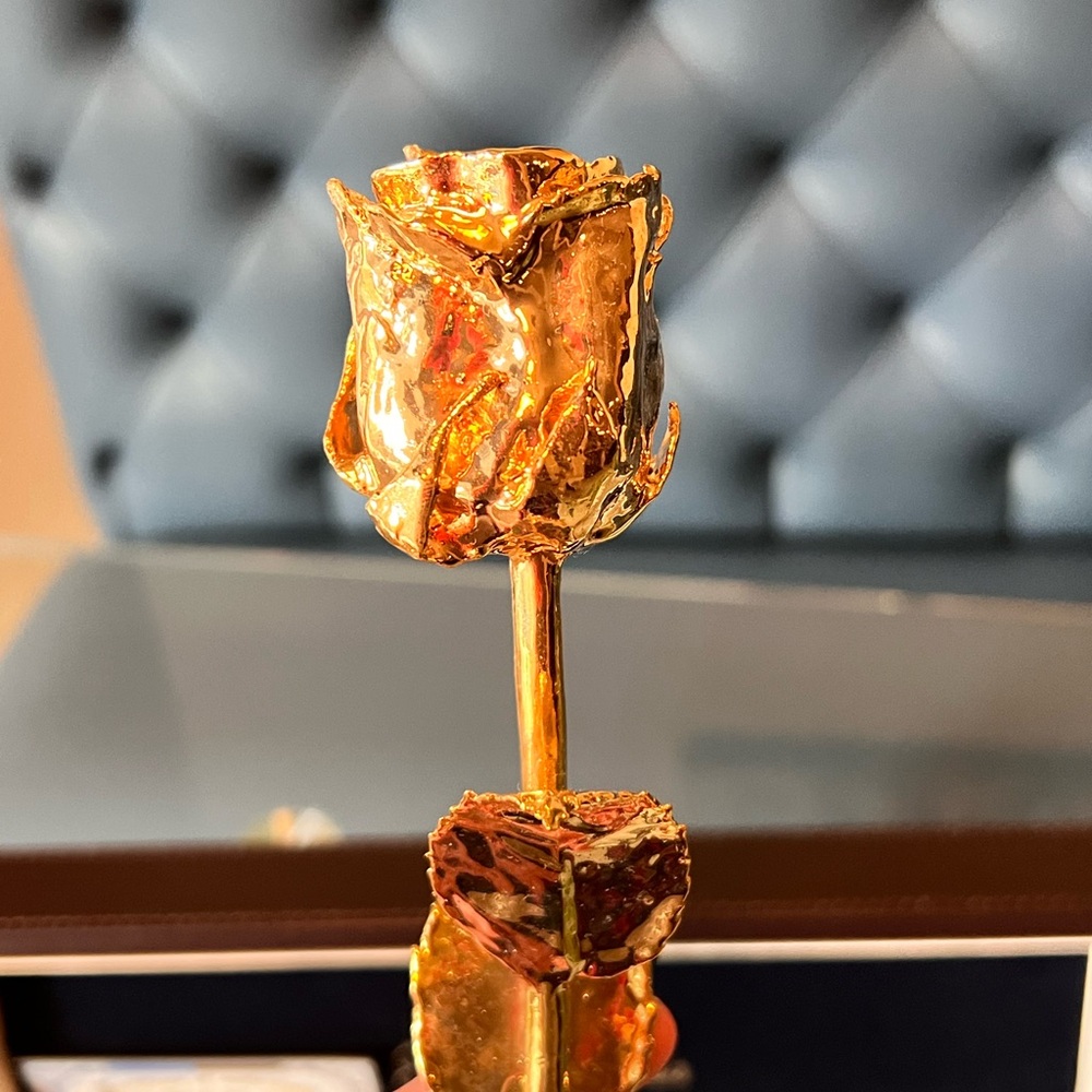 Eternity Rose! Gold dipped Rose 24k